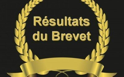 Les résultats du Diplôme National du Brevet